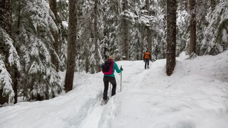 Whistler & Sea to Sky Gondola Day Tour