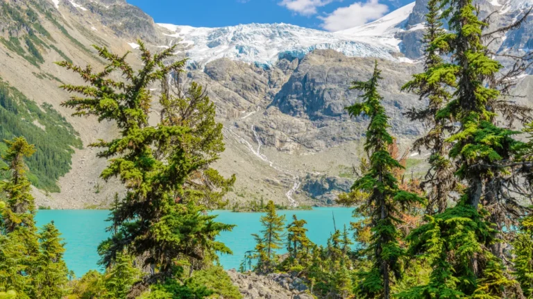 Whistler & Sea to Sky Gondola Day Tour