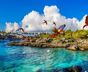 Xcaret Park Admission with Show (Optional Transportation)
