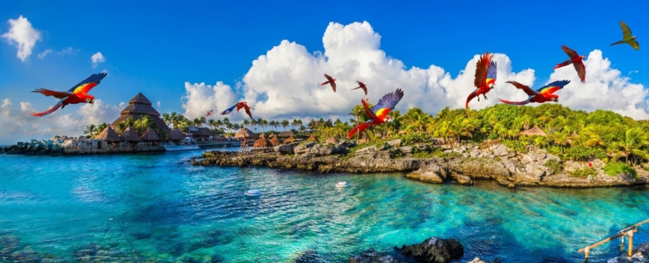 Xcaret Park Admission with Show (Optional Transportation)